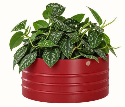 Cachepô Alumínio Cuia Friso 25 — Vermelho